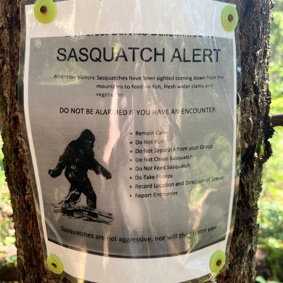 Meet your posher, Thomas - Picture 3 of 3